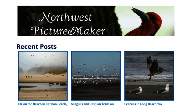 northwestpicturemaker.com