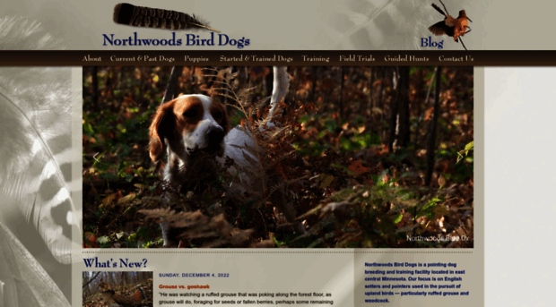 northwoodsbirddogs.com