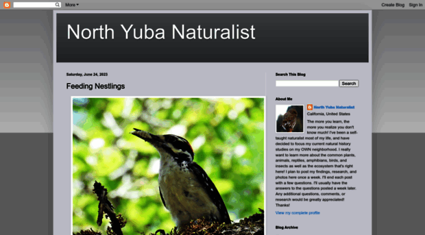 northyubanaturalist.blogspot.com