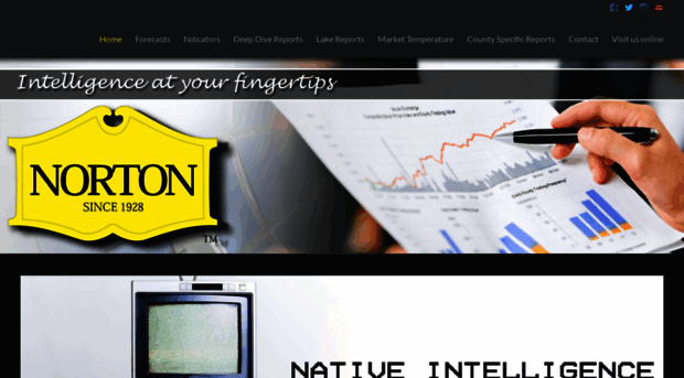 nortonintelligence.com