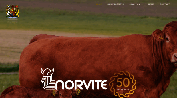 norvite.com