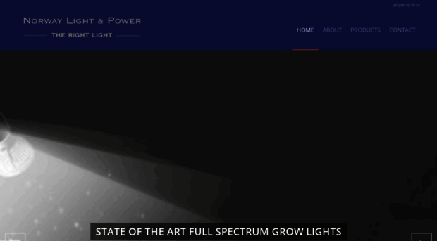 norwaylightandpower.com
