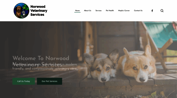 norwoodvetservices.com