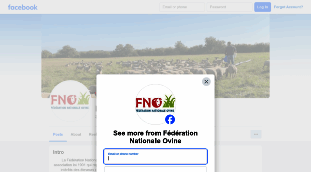 nosbrebis.fr