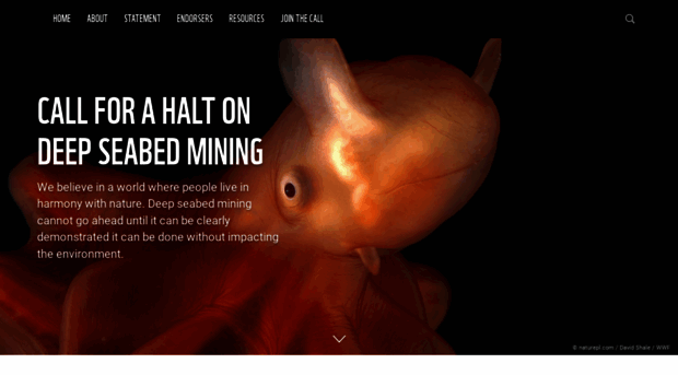 noseabedmining.org