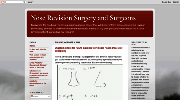 noserevisionsurgeryandsurgeons.blogspot.com