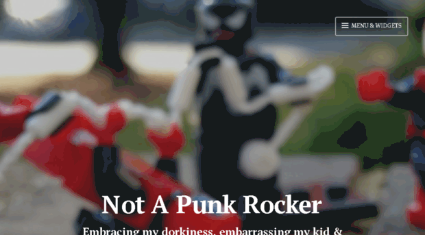 notapunkrocker.wordpress.com