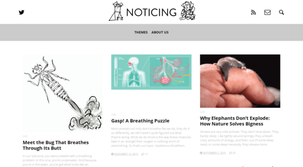 noticing.co