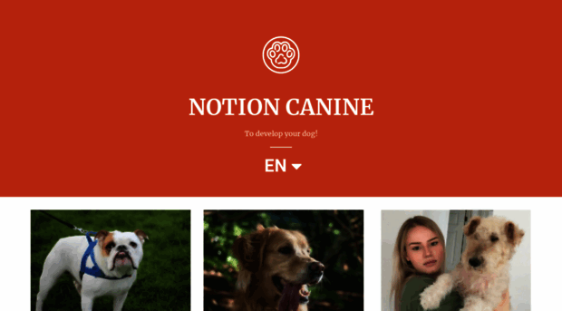 notioncanine.com