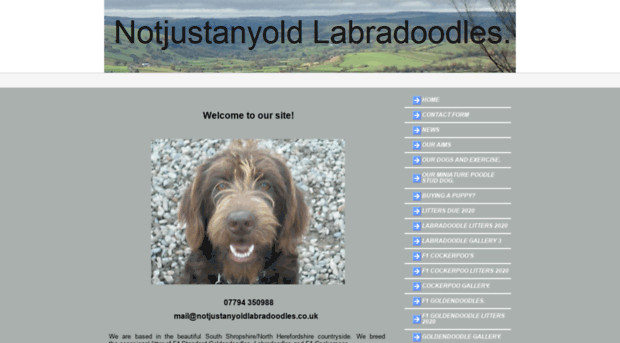 notjustanyoldlabradoodles.co.uk