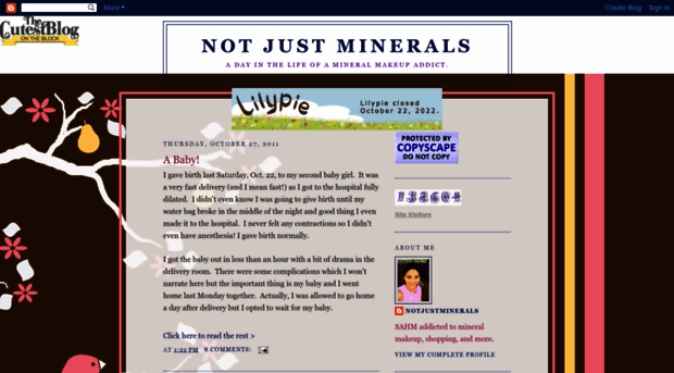 notjustminerals.blogspot.com