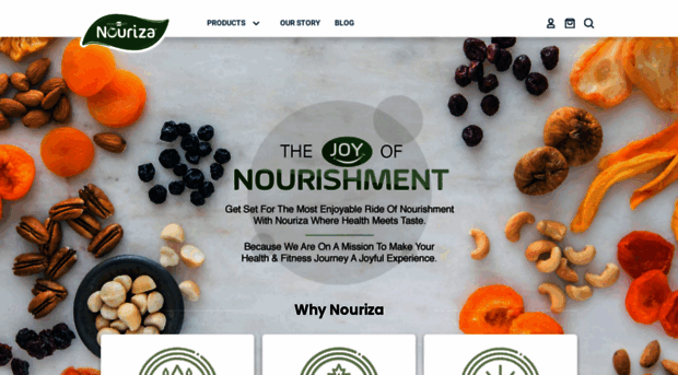 nouriza.com