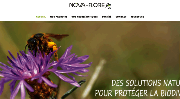 nova-flore.com