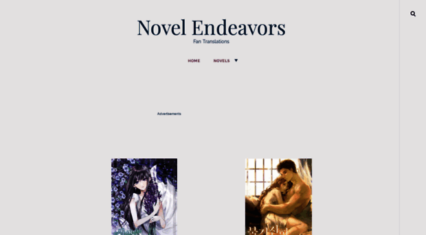 novel-endeavors.com