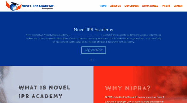 novelipracademy.org