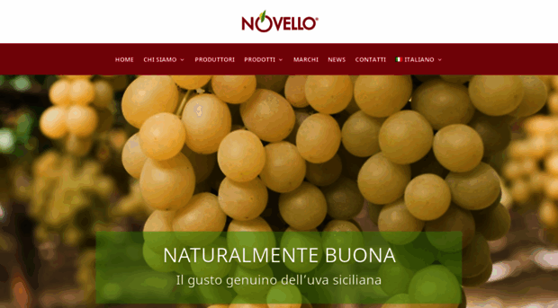 novelloec.com