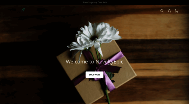 noveltyepic.com