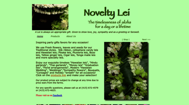 noveltylei.com