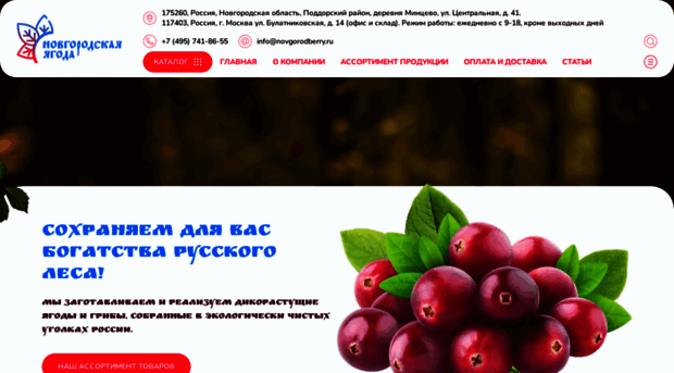 novgorodberry.ru
