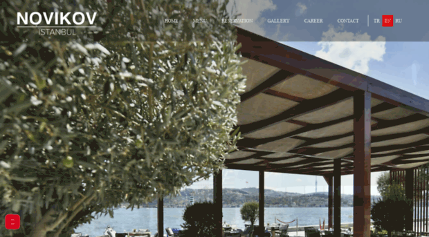 novikovistanbul.com