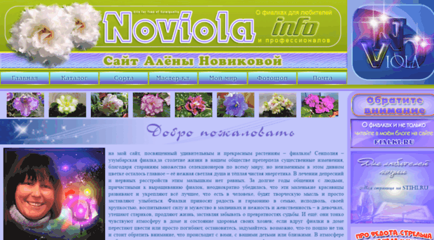 noviola.info