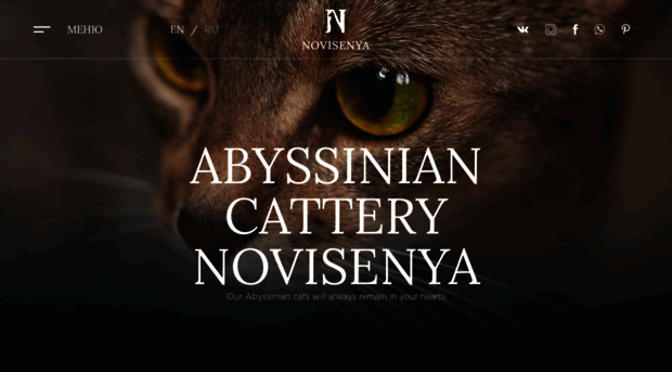 novisenya.ru