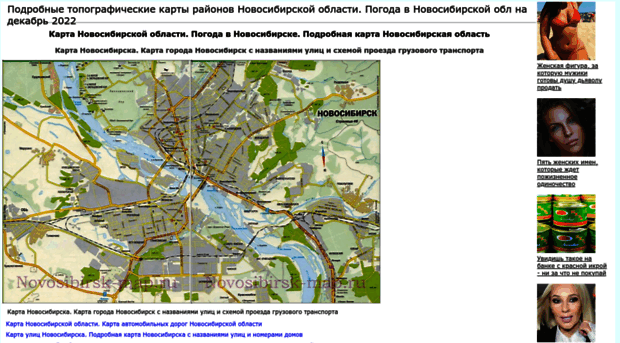 novosibirsk-obl.ru