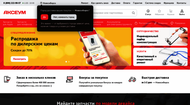 novosibirsk.axeum.ru