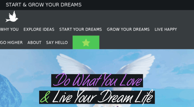 now.startyourdreams.org