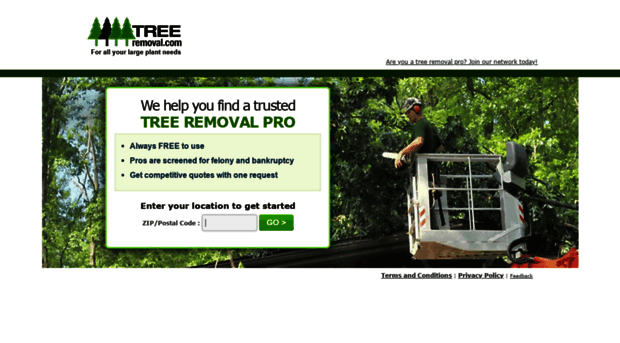 now.treeremoval.com