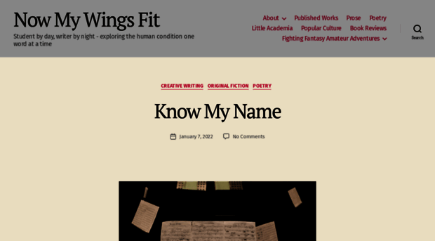 nowmywingsfit.wordpress.com