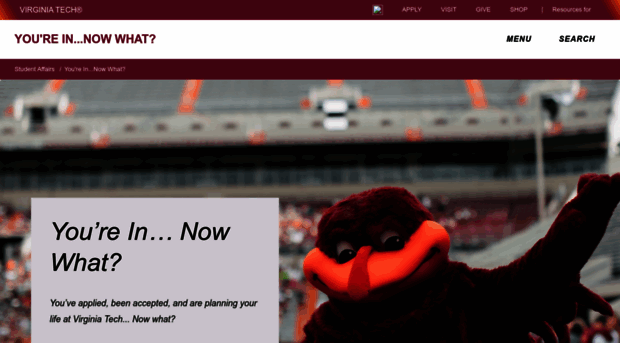 nowwhat.vt.edu
