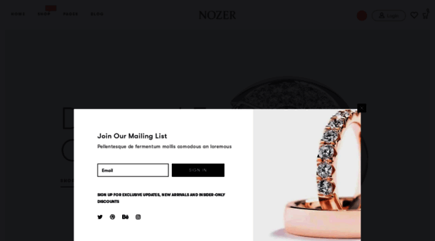 nozer-store-demo.myshopify.com