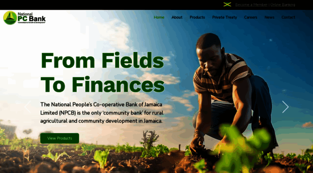 npcbankjm.com
