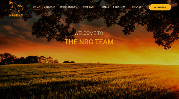 nrgteam.com.au