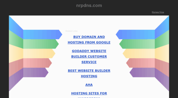 nrpdns.com