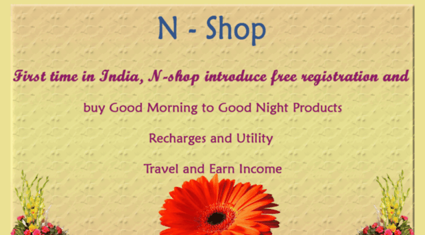 nshopindia.com