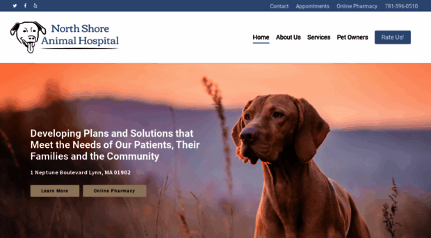 nshoreanimalhospital.com