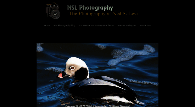 nslphotography.com