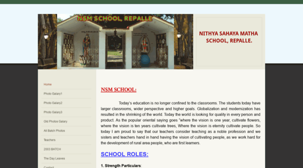 nsmschool.weebly.com