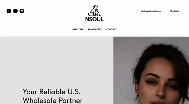 nsoulllc.com