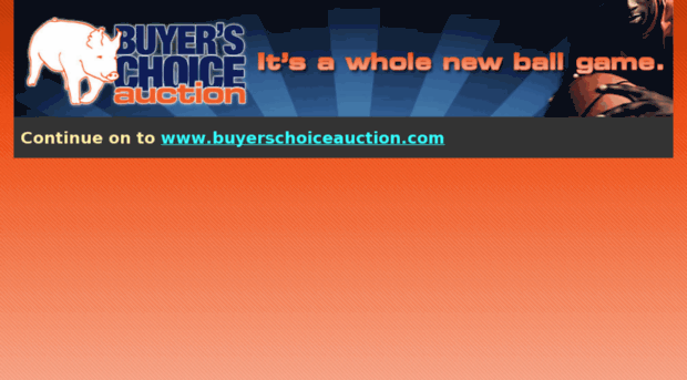nsr-buyerschoiceauction.com