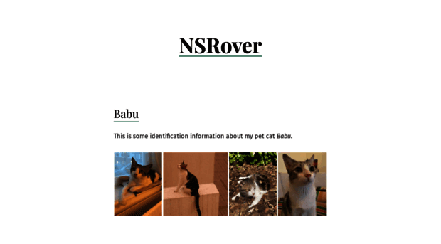 nsrover.wordpress.com