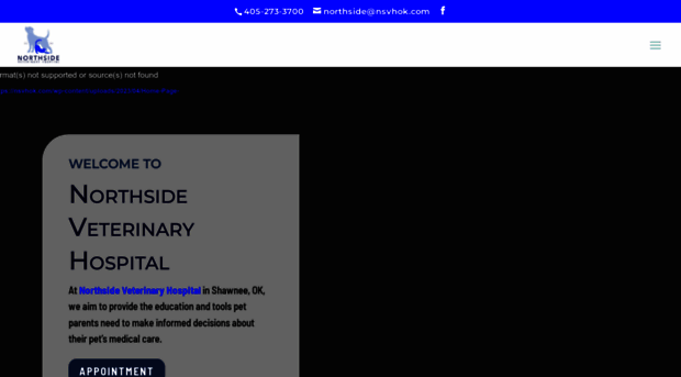 nsvhok.com