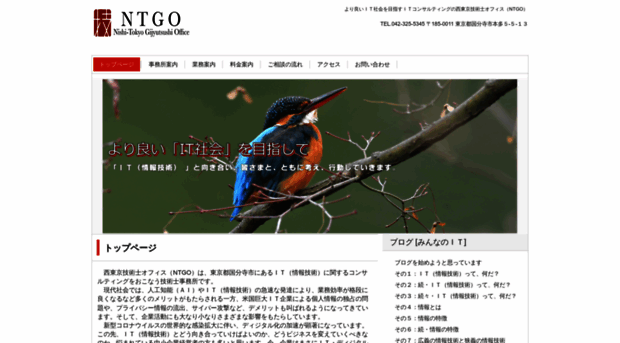 nt-go.com