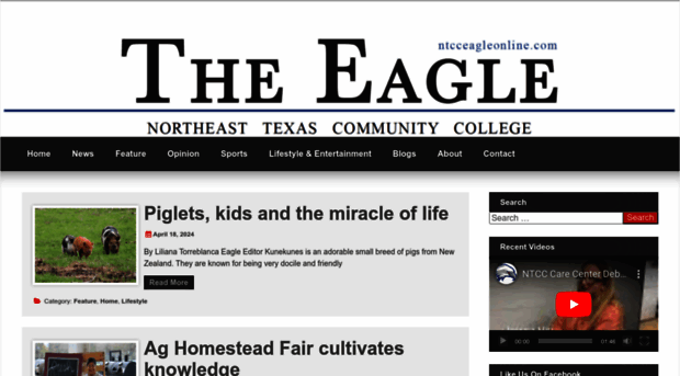 ntcceagleonline.com