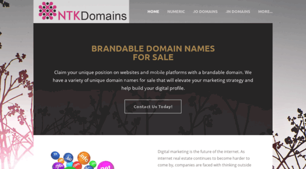 ntkdomains.com