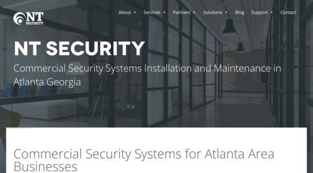 ntsecurityllc.com