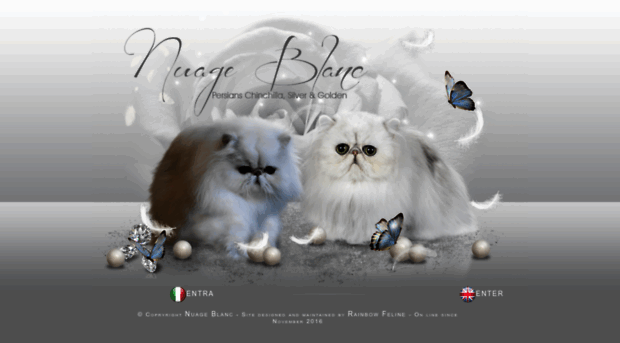 nuageblancpersian.it