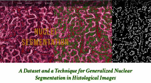 nucleisegmentationbenchmark.weebly.com